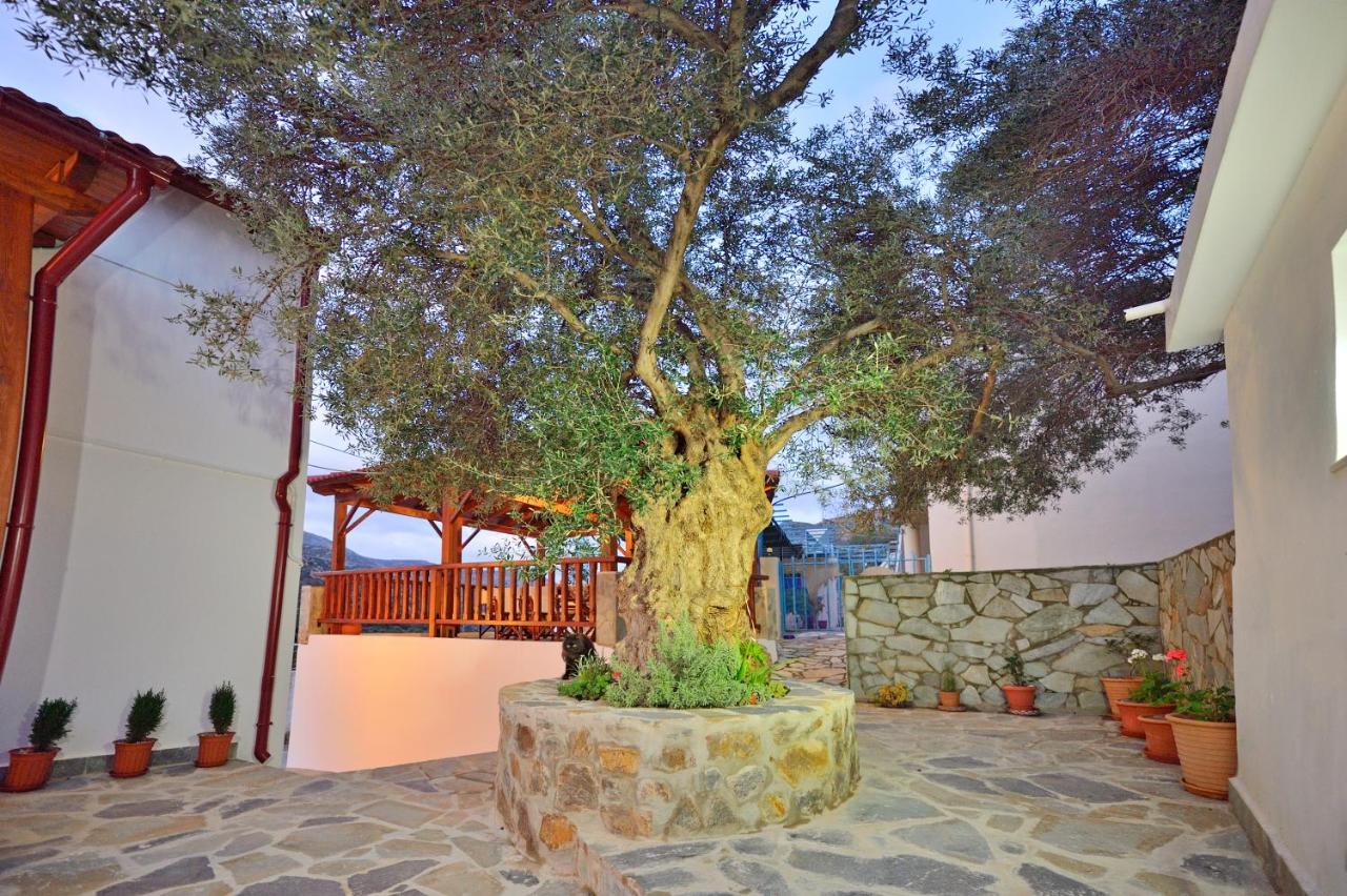 הוילה Plokamianá Plokamos House מראה חיצוני תמונה